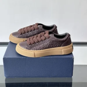 DIOR B33 SPIN SNEAKERS IN BROWN – CD205